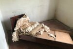 Службова квартира, фото телеграм-канал Врачеватель