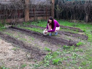 Коли садити картоплю, скріншот із відео