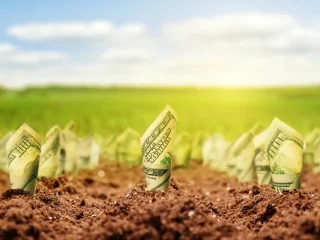 Земельний податок 2026: пільгові категорії