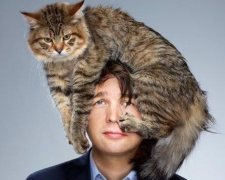 Куди прикласти кота, щоб вилікуватись