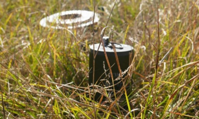 Саперы обезвредили 500 мин террористов в Луганской области (фото)