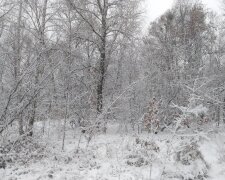 Зима, мороз - фото Знай.ua