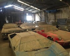 Американець знайшов скарб із колекційних спорткарів