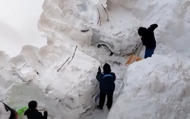сніг, скриншот youtube Wild WeatherUS