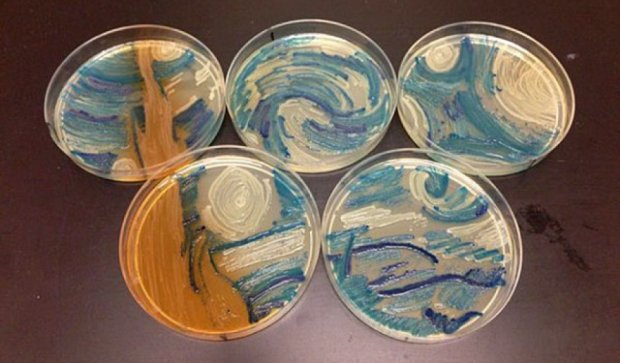 Микробиологи нарисовали «Звездную ночь» Ван Гога бактериями (фото) 