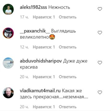 Коментарі до публікації Ірини Сопонару: Instagram