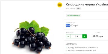 Ціни на смородину. Фото: скрін fruit-time.ua