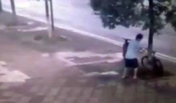 Заради крадіжки велосипеду китаєць спиляв дерево (ВІДЕО)