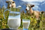 Молокопродукты могут стать для украинцев роскошью
