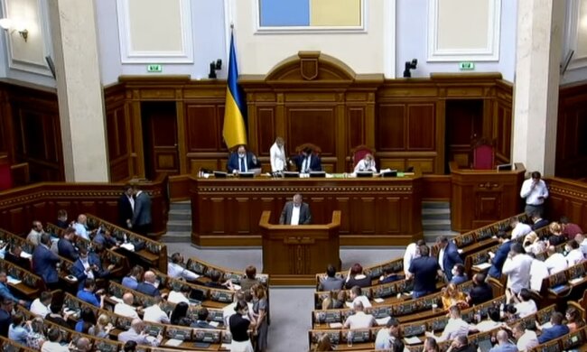Верховная Рада Украины, скриншот: Youtube