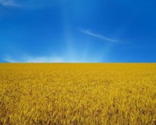 До чого б ви привели Україну?