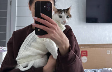 Котик, фото: Знай.ua