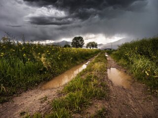 погода в Україні, фото pxhere