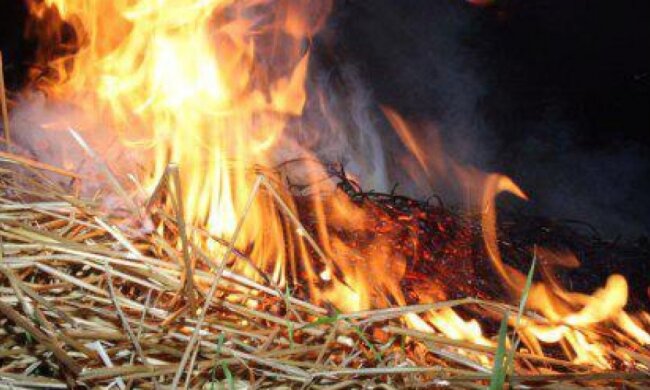 В Донецкой области в пожаре погиб трехлетний ребенок