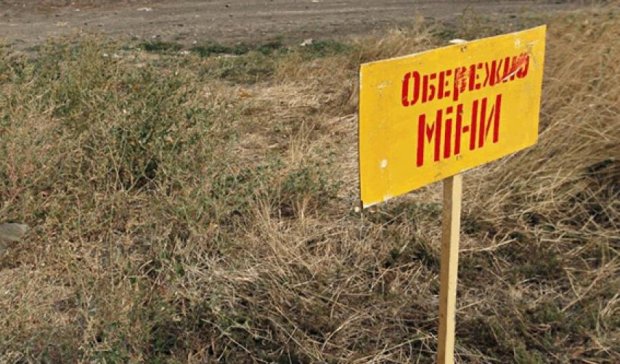 На Донбассе 45-летняя женщина подорвалась на мине