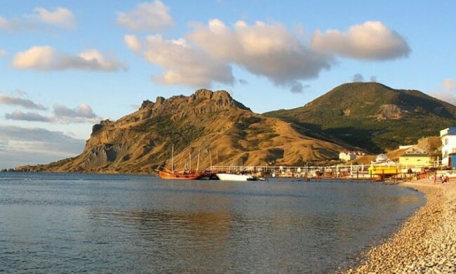 Рідкісних птахів і тварин Коктебеля можуть знищити