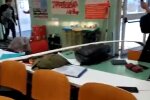 Землетрус в Італії, скріншот з відео