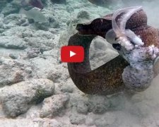 На Гаваях вугор напав на дайвера