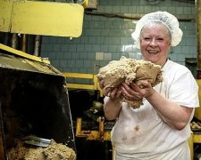 Луганчан кормят пшеницей для скота