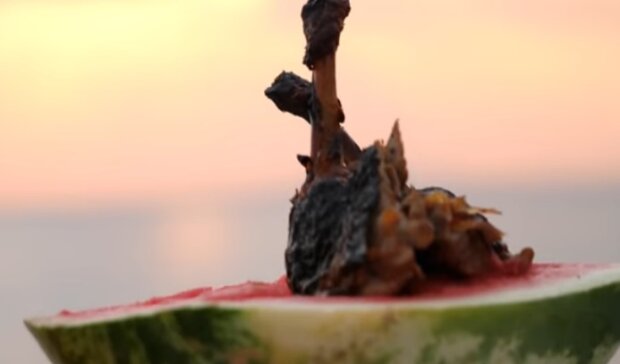 Утка запеченная в арбузе: рецепт одного из древнейших украинских блюд