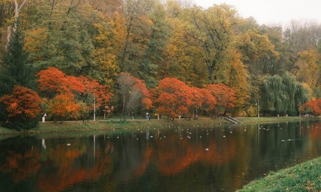 Кого нельзя выгонять из дома 30 октября и куда нужно положить сало: приметы и запреты на Зиновия