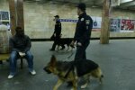 ТЕРМІНОВО! Копи запобігли теракту в Києві