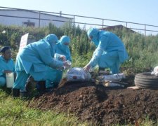 Смертельна небезпека: біля школи знайшли інфіковані трупи 