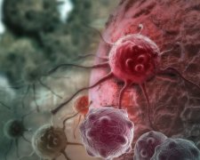 Народна медицина: вчені виявили древнєкитайське зілля від раку