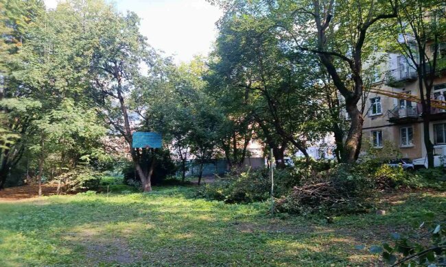 Зеленая зона на улице Героев УПА во Львове