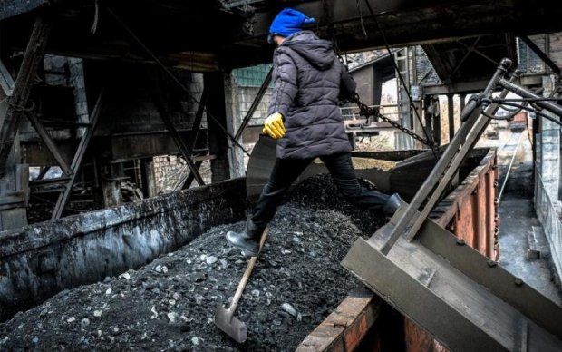 Пріоритет газового вугілля змусить енергокомпанії прискорити перевід блоків ТЕС з імпортного вугілля на українське - Волинець