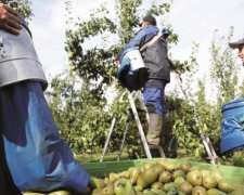 Українця жорстоко зарізали у Польщі