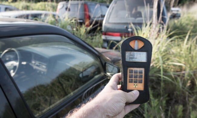 Фукусіма після «апокаліпсису»: природа бере своє (фото)