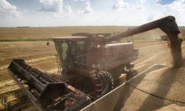 Якість українських продуктів зростатиме швидше за їхню ціну