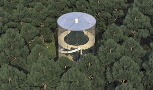 Дизайнер створив скляний будинок навколо дерева (фото)