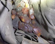 14 кг бурштину та 16 кримінальних справ: рейди на Поліссі (фото)