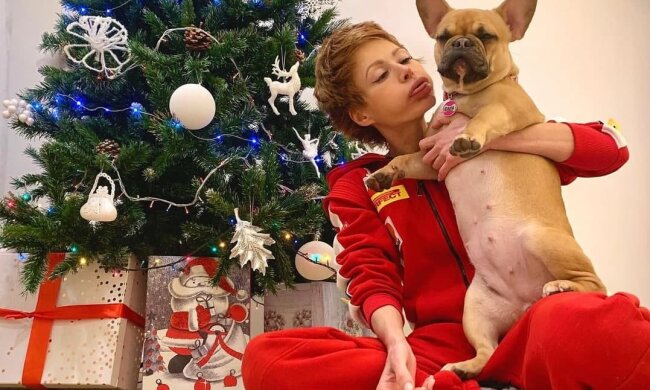 Лебідь, фото: Instagram