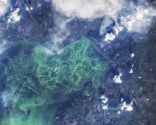 Вид із МКС: як цвіте Кременчуцьке море