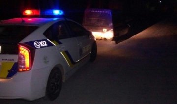 Запорізькі патрульні затримали п'яну "сестру Януковича"