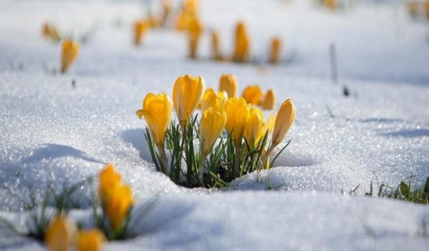 Фотографии, на которых чувствуется приближение весны (фото)