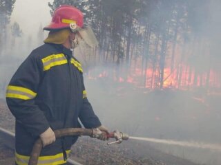 Пожежа на Житомирщині, фото з вільних джерел