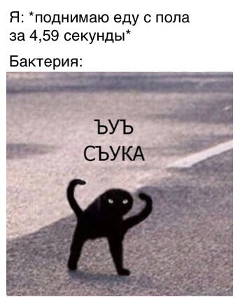 Мем, Memepedia