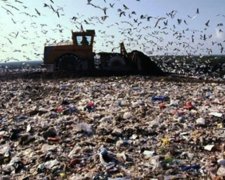 Львівське сміття забере Кличко