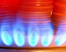 Должников и просителей субсидий посадили на шеи украинцев