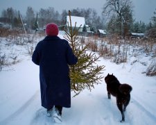 Як правильно прибирати новорічну ялинку: головні традиції та народні прикмети