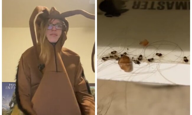 Джейкоб Херрінг та таргани, кадри з віжео