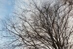 Погода в Україні, фото: pxhere