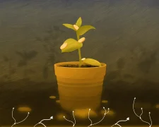 Proof of Play: Web3-студія від творця FarmVille закривається після $33 млн інвестицій