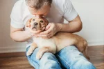 Собака на руках у владельца