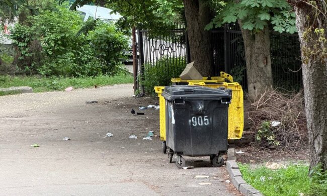 Терпіння увірвалося: кияни б’ють на сполох через безлад біля ботсаду Фоміна та пропонують радикальні кадрове рішення