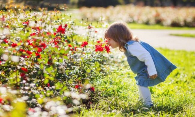 Погода на 12 апреля: стихия приготовила украинцам кое-что особенное